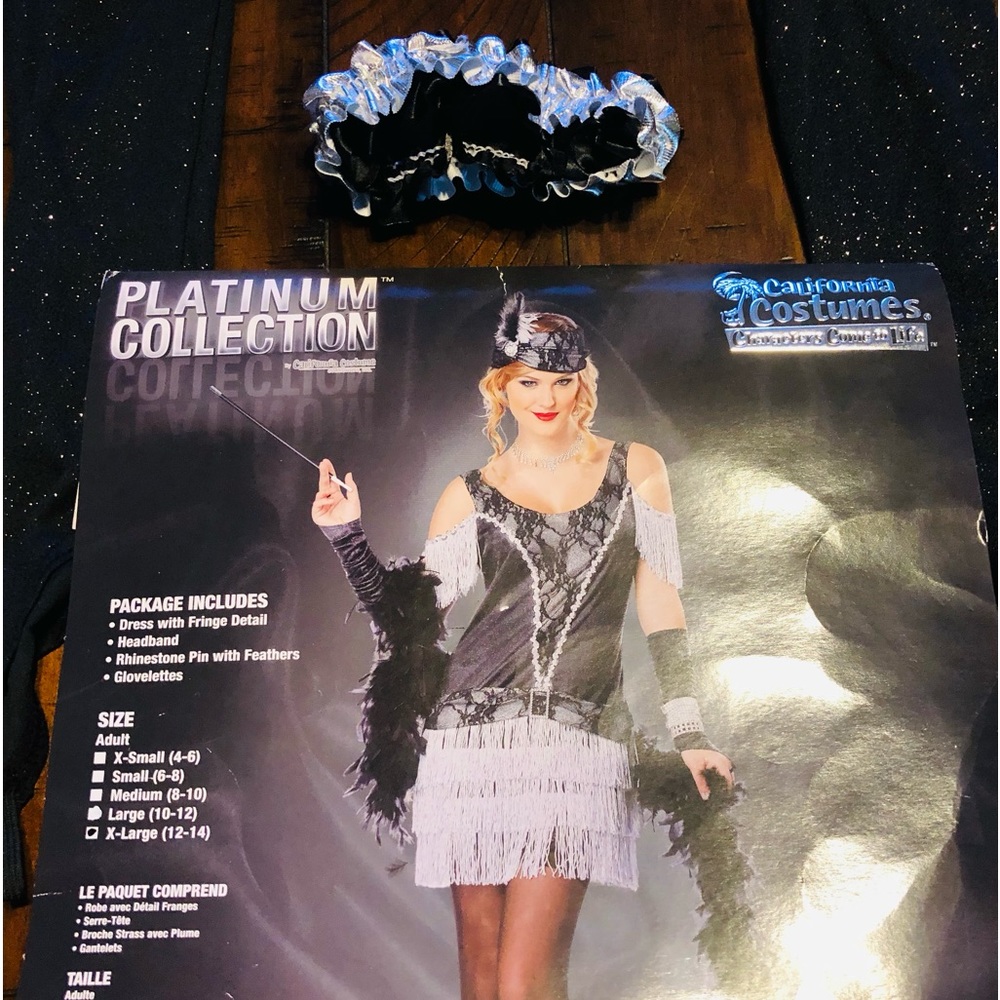 California Costumes Platinum Collection Flapper Dress in Black and Silver